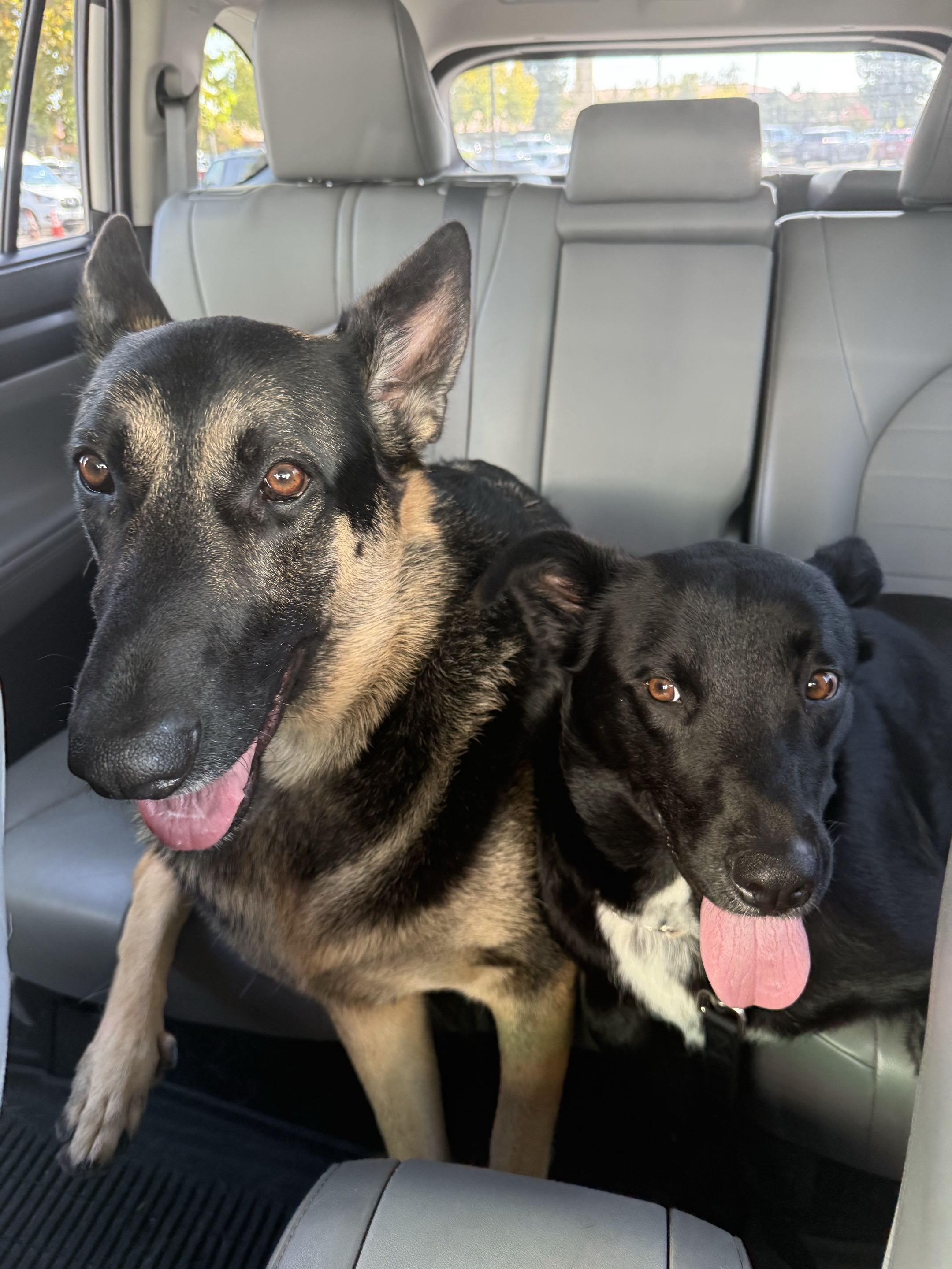 Whiteboard diagram from meeting